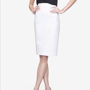 Express Pencil Skirt